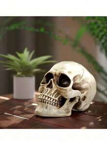 1pc Life-Size Resin Skeleton Decoration, Halloween Table Decor, Wedding Decor, Birthday Party Decoration, Realistic Adult Skull Model, Gothic Halloween Room Decor, Smiling Face - Multicolor - View 9