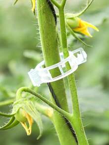 100 件番茄夹、塑料棚架夹、植物支撑夹、葡萄藤夹、番茄藤、蔬菜植物夹、花园夹、幼苗固定夹，保持植物直立健康生长