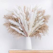 80pcs Premium Pampas Grass Decor - Natural Dried Rattan Flowers For Home, Event Decor, Wedding Centerpieces, Festive Seasons (, Halloween, Easter, Thanksgiving) Gifts Birthday Graduation,Fall Decor,Autumn - Multicolor - View 13