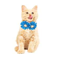 6pcs/8pcs Random Color Pet Flower Bow Tie Collar, Classic Double Flower Pearlescent & Rhinestone Decor Adjustable Neck Collar For Small/Medium Pets