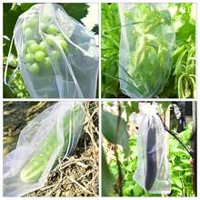 50/100 Pieces Grape Growth Bags, Fruit And Plant Protection Net, Net For Strawberry, Vegetables, Gift, Organza Bags, Anti-Bird Garden Tools