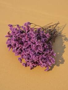 25/50/100/300 件迷你满天星花和其他干花 - 用于树脂模具艺术工艺品，象牙白花束，可用作发饰、婚礼花环、桌花瓶、家居装饰 - 淺粉紅色(水晶草) - 查看 3