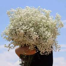 Set de 5 flores artificiales de Gypsophila blanca, ramos de Flor del Bebé falsa a granel con tallos de plástico, apropiados para decoración del hogar, decoración de mesa, arreglos florales DIY, decoraciones de boda y de fiesta, decoración de habitación