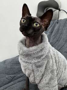 Pulover pentru pisici, haine de casă, 5 culori disponibile, cald, solid, moale, fleece polare, prietenos cu pielea, potrivit pentru pisici Sphynx și câini mici, toamnă/iarnă - Gri inchis - Vizualizare 2