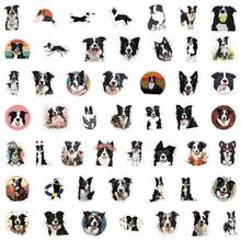 50 件边境牧羊犬贴纸乙烯基美学贴纸剪贴簿、日记、保险杠、滑板、水瓶、卡通、安全帽、汽车贴纸和贴花 - 彩色 - 查看 3