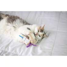 Flingin' Purr Tarts Cat Plush Toy - Gray - Multiple Colors - View 5