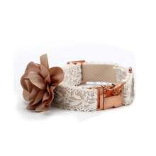 Spring/Summer New Lace Flower Pet Cat/Dog Harness & Leash Set, Suitable For Teddy, Small/Medium/Large Dogs, Poodle Walking Accessories - Beige - View 2