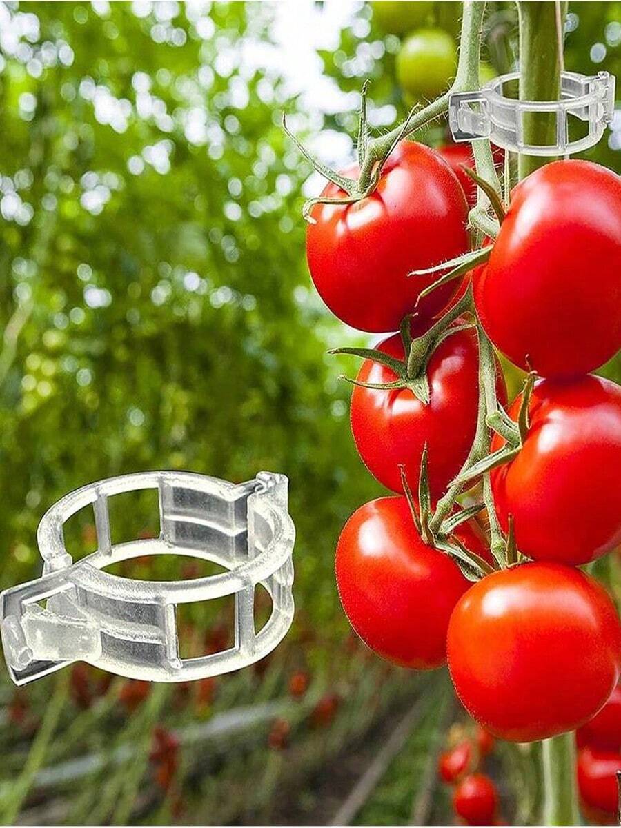 50pcs Tomato Clips, Plastic Trellis Clips, Plant Support Clips, Grape Vine Clips, Tomato Vines, Vegetable Plant Clips, Garden Clips, Seedling Fixing Clips, Make Plants Grow Upright And Healthier - Multicolor - View 1