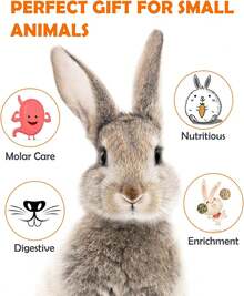 MOTOMATE Timothy Hay Treats Natural Chews For Teeth Handmade Rabbit, Chinchilla, Gerbil, Rat, Hamster Toys Bunny & Guinea Pig Toys, 12Pcs - 綠色 - 查看 3