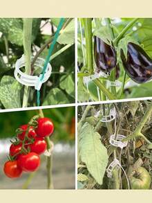 Tomato Clips, Plastic Trellis Clips, Plant Support Clips, Grape Vine Clips, Tomato Vines, Vegetable Plant Clips, Garden Clips, Seedling Fixing Clips, Make Plants Grow Upright And Healthier - Clear - View 2