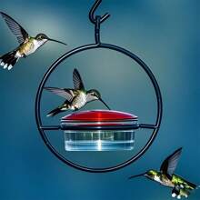 1 Piece, Metal Hanging Hummingbird Feeder With Transparent Glass Jar, Red Liquid Feeder And Perch, Durable Outdoor Hummingbird Feeding Station That Attracts Birds To Your Garden, Outdoor Bird Care, Round Bird Feeder, Stainless Metal Frame, Outdoor Hummingbird Feeder