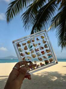 1pc 36/33/17 Grids Acrylic Square Transparent Seashell Storage Box, Beach Stones Specimen Display, Mini Jewelry Box, Handmade Gift, Decorative Desktop Organizer Box, DIY Storage Box, Holiday Gift For Women Storage Organizer Travel Essentials Back To School Dormitory Storage