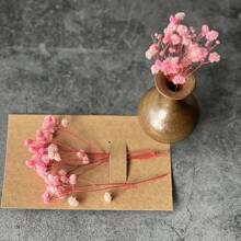 100pcs Delicate Dried Pink Baby's Breath Flowers, Suitable For Vase Filler, Wedding Decor, Home & Office Decoration, Party, Garden, Card Making, DIY Floral Arrangement