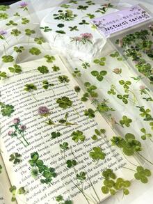 Bộ 6 miếng dán PET chủ đề cây xanh tươi & cỏ ba lá, đồ dùng trang trí sổ lưu niệm, đồ dùng học tập, trở lại trường - Nhiều màu - Xem 3
