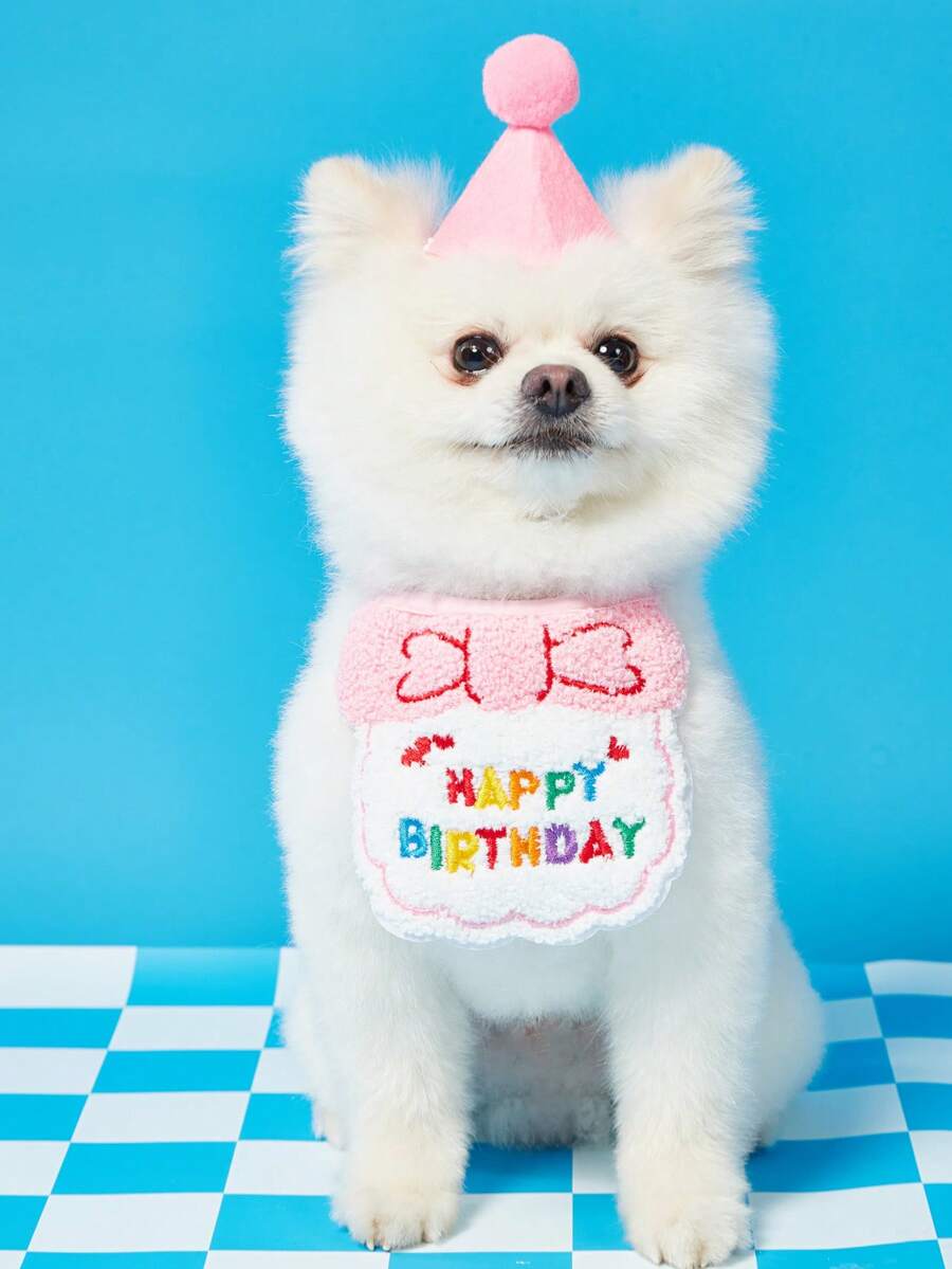 PETSIN Set celebración de cumpleaños para mascotas, 1 pompón decorativo, gorro para mascotas y 1 babero bordado con eslogan para mascotas - Rosa - Ver 1