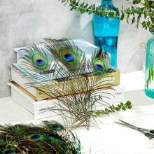 5pcs 12 Inch Natural Peacock Feathers, Suitable For Vase Filler, Home Decor Accents, Ideal For DIY Crafts, Wedding Decoration, Home And Party Embellishment, Floral Arrangement, Party Decorative Pieces