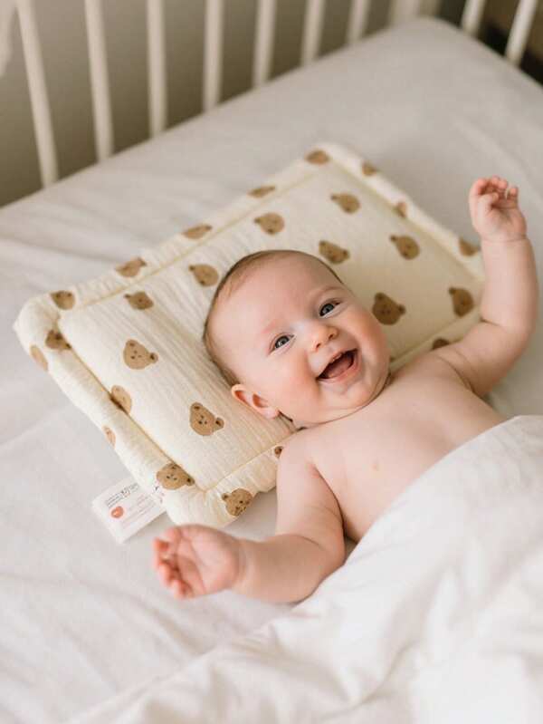 1pc Baby Bean Velvet Pillow - , Breathable & All-Season Comfort For 0-12 Months Infants - Lightweight, Sweat-Absorbing & Anti-Vomiting Pillow With Cartoon Patterns For Home, Daycare & Travel