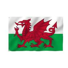 1 szt. – Majestatyczna flaga narodowa z okazji Dnia Niepodległości – Kolekcja flag narodowych krajów premium – Bardzo duże poliestrowe flagi do kibicowania na Mistrzostwach Świata w Piłce Nożnej, wodoodporne i odporne na blaknięcie – idealne na mecze piłki nożnej, Mistrzostwa Świata, bary sportowe, strefy kibica, parady, wystrój na zewnątrz, gobeliny ścienne do domu i biura, artykuły imprezowe i patriotyczne wydarzenia