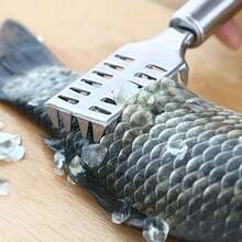 1/2 Ergonomic Fish Scale Remover, Quick Peeling, Easy To Clean Fish Scale Brush, Anti Slip Kitchen Fish Cleaning Tool For Home Cooking And Seafood Preparation - Multicolor - View 11