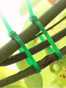 100 件园艺捆扎带、扎带、塑料缠绕带、植物固定带、便携式园艺电缆、园艺和草坪护理 - 彩色 - 查看 2