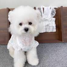 Pet Dog Harness Dress, Lightweight Lace Dress For Small Dogs, Suitable For Spring And Summer, Fashion