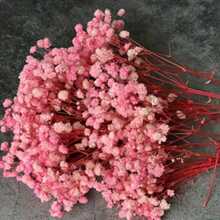 100pcs Delicate Dried Pink Baby's Breath Flowers, Suitable For Vase Filler, Wedding Decor, Home & Office Decoration, Party, Garden, Card Making, DIY Floral Arrangement