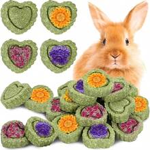 MOTOMATE Timothy Hay Treats Natural Chews For Teeth Handmade Rabbit, Chinchilla, Gerbil, Rat, Hamster Toys Bunny & Guinea Pig Toys, 12Pcs - 綠色 - 查看 1