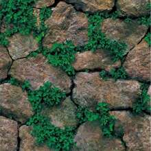 1 Roll Of Rural Style Stone Crevice Grass Contact Paper Can Be Peeled And Pasted With Vinyl, Waterproof And Detachable, Suitable For Home Decoration And Furniture Renovation, Suitable For Bedroom, Living Room, Bathroom, TV Background Wall Decoration