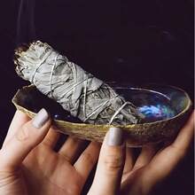 Natural Abalone Shell Incense Holder, Sage & Palo Santo Stick Holder, Sage Bowl, Sage Burner, Incense Burner & Aromatherapy Stand Set For Incense Burning, Home Cleansing, Meditation, Shell Crafts, Home Decor - Multicolor - View 9