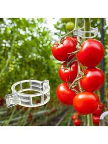 50pcs Tomato Clips, Plastic Trellis Clips, Plant Support Clips, Grape Vine Clips, Tomato Vines, Vegetable Plant Clips, Garden Clips, Seedling Fixing Clips, Make Plants Grow Upright And Healthier - Multicolor - View 2