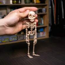 Aimant de réfrigérateur crâne posable magnétique - Thème fantasy rétro avec articulations mobiles, design octogonal en plastique durable, cadeau d'Halloween amusant pour Noël, la Saint-Valentin, Pâques, Thanksgiving - Décoration de cuisine et de salle à manger, aimants de réfrigérateur mignons, décoration saisonnière, décoration humoristique, squelette articulé coloré, accessoire de maison, décoration originale, design léger, article pour les acheteurs de vacances