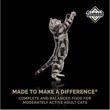 Diamond Comida para Gatos Adultos Mantenimiento 18.1 Kg - Morado Violeta - Ver 5