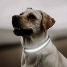 1pc Adjustable Luminous Striped Dog/Cat Collar, Pet Safety Glow Collar For Nighttime