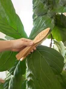 1 buc/2 buc/3 buc Cleme de curățare a frunzelor din lemn, perie de mână pentru praf de plante verzi, instrumente de curățare pentru îngrijirea plantelor, consumabile pentru grădinărit, accesorii pentru curățarea frunzelor