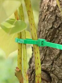 100 件园艺捆扎带、扎带、塑料缠绕带、植物固定带、便携式园艺电缆、园艺和草坪护理 - 彩色 - 查看 5