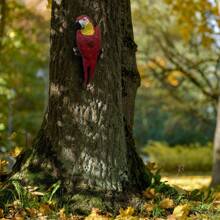 تمثال ببغاء راتنجي قديم: تمثال ببغاء راتنجي جذاب قابل للتعليق لديكور الحديقة والحديقة الخلفية والشرفة، مثالي لعيد الفصح