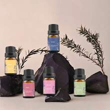 6pcs Aromatherapy Oil Set, Jasmine, Cherry Blossom, Lily, Lemon And Other Flavors, Suitable For Diffusers Humidifiers Can Be Handmade DIY, Air Freshening Fragrance Retention, The Best Gift For Family And Friends Loved Ones, Father's Day Gift