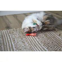 Purracha Hot Sauce And Shrimp Cat Plush Toy - Hot Pink - View 4