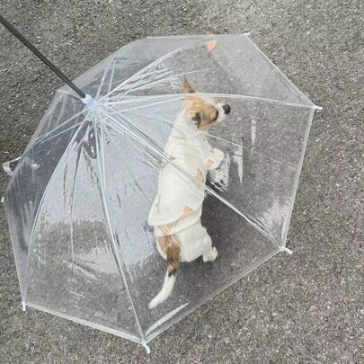 Guarda-chuva para cães, guarda-chuva transparente para cães de pequeno e médio porte, acessório para caminhada
