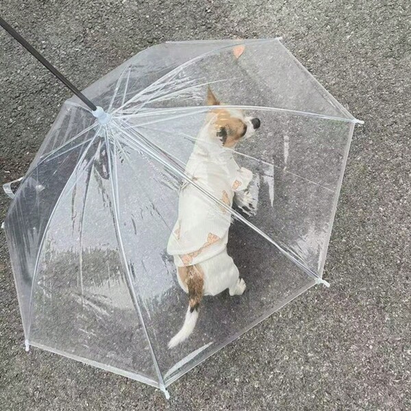 Pet Umbrella For Dogs, Transparent Rain Umbrella For Small And Medium Sized Dogs, Walking Accessory