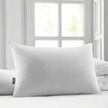 Sertapedic Won't Go Flat Bed Pillow, Standard/Queen - White - View 3