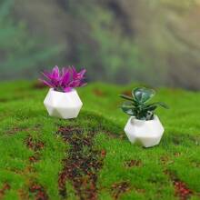 8pcs/Set Miniature Plant Kits For Dollhouse, Miniature Dollhouse Plants, Miniature Bonsai Decorations For Dollhouse Garden