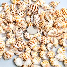 Mistura Colorida de Mini Conchas - Pacote de 50g/100g/200g, 12 Estilos Únicos, Adequado para Artesanato DIY, Scrapbooking, Garrafas Flutuantes e Decoração de Aquário (Embalagem em Bolha)