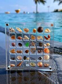 1pc 36/33/17 Grids Acrylic Square Transparent Seashell Storage Box, Beach Stones Specimen Display, Mini Jewelry Box, Handmade Gift, Decorative Desktop Organizer Box, DIY Storage Box, Holiday Gift For Women Storage Organizer Travel Essentials Back To School Dormitory Storage
