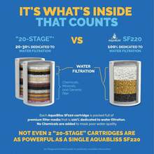 1 件高输出通用淋浴过滤器，带可更换多级滤芯 - 快速将瘙痒、湿疹和痤疮转化为光亮的头发、指甲和皮肤 - 镀铬 (SF220) ﻿