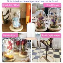 1pc Glass Cover, Blind Box, Preserved Flower, Doll Display, Glass Display Dome With Soft Wood Bottom, Mason Jar Dome, Vase Display Box, Transparent Dome-Shaped Jar Display Box, For Crafts, Plants, Lights, Succulents, Trophies, Pocket Watches Desktop Centerpiece Decor, Home Christmas Party Gift Decoration