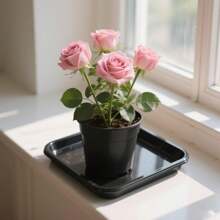 1pc Durable Square Plastic Plant Saucer - Indoor & Outdoor Use - Perfect For Flower Pots, Gardening Projects & Pet Trays - Black, Plant Saucer Tray