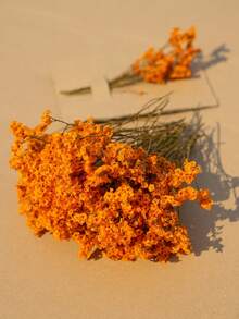 25/50/100/300 件迷你满天星花和其他干花 - 用于树脂模具艺术工艺品，象牙白花束，可用作发饰、婚礼花环、桌花瓶、家居装饰 - 橙色(水晶草) - 查看 5