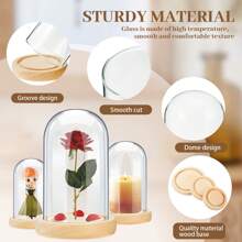1pc Glass Cover, Blind Box, Preserved Flower, Doll Display, Glass Display Dome With Soft Wood Bottom, Mason Jar Dome, Vase Display Box, Transparent Dome-Shaped Jar Display Box, For Crafts, Plants, Lights, Succulents, Trophies, Pocket Watches Desktop Centerpiece Decor, Home Christmas Party Gift Decoration