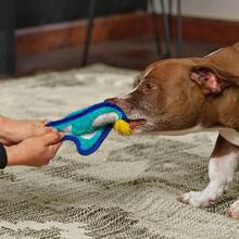 Outward Hound Durablez Minis Stuffing-Free Squeaky Plush Dog Toy For Puppies & Small Dogs - Interactive, Soft Yet Tough, No Mess, Jumbo Squeaker, Long-Lasting Play, Fox - Chim cánh cụt xanh - Xem 5